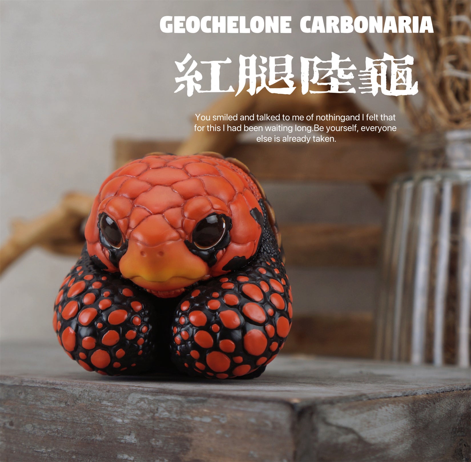BOWUZHI Studio Geochelone Carbonaria & Chelonoidis Galapagoensis Model