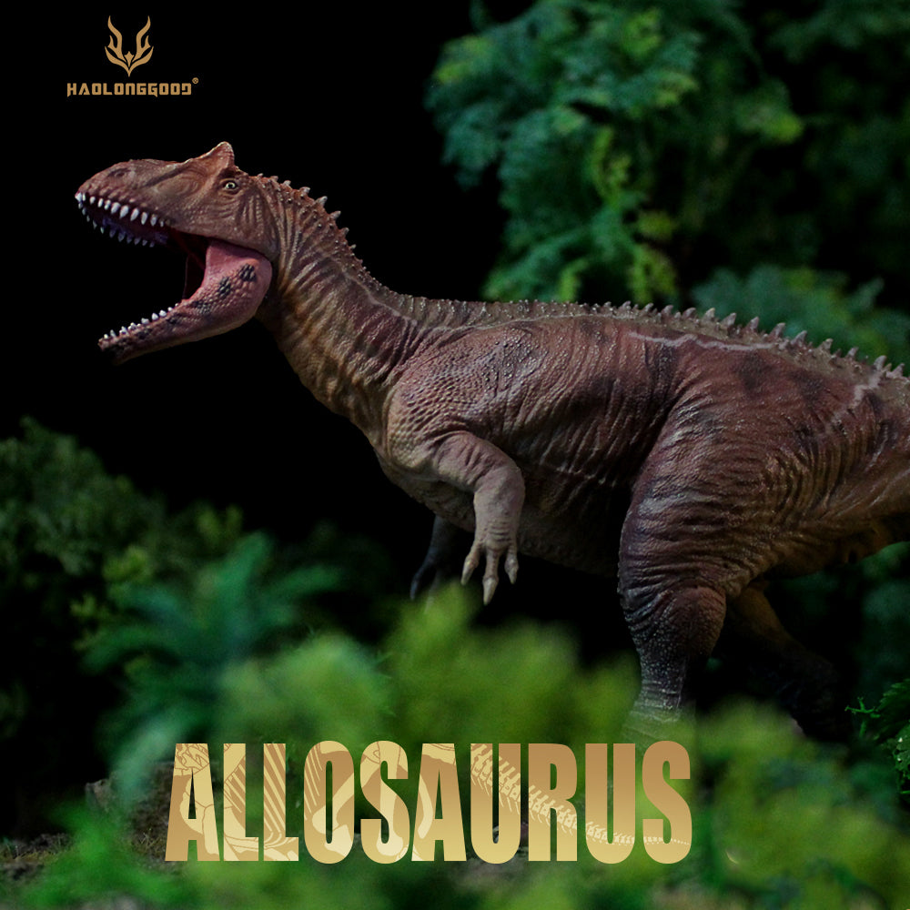 HAOLONGGOOD 1:35 Scale Allosaurus Model