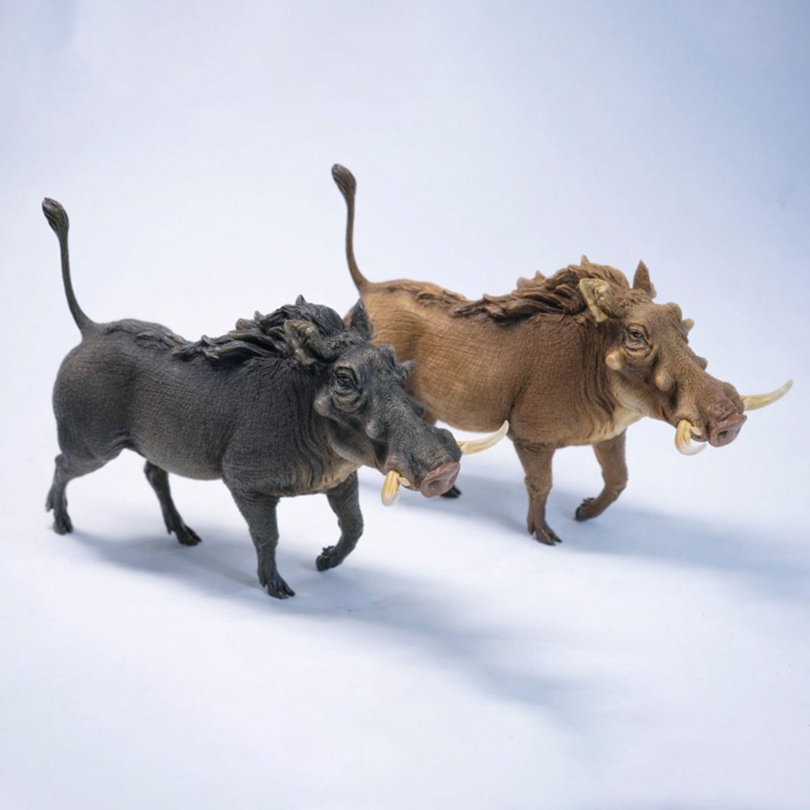 JXK Studio Warthog Animal Model