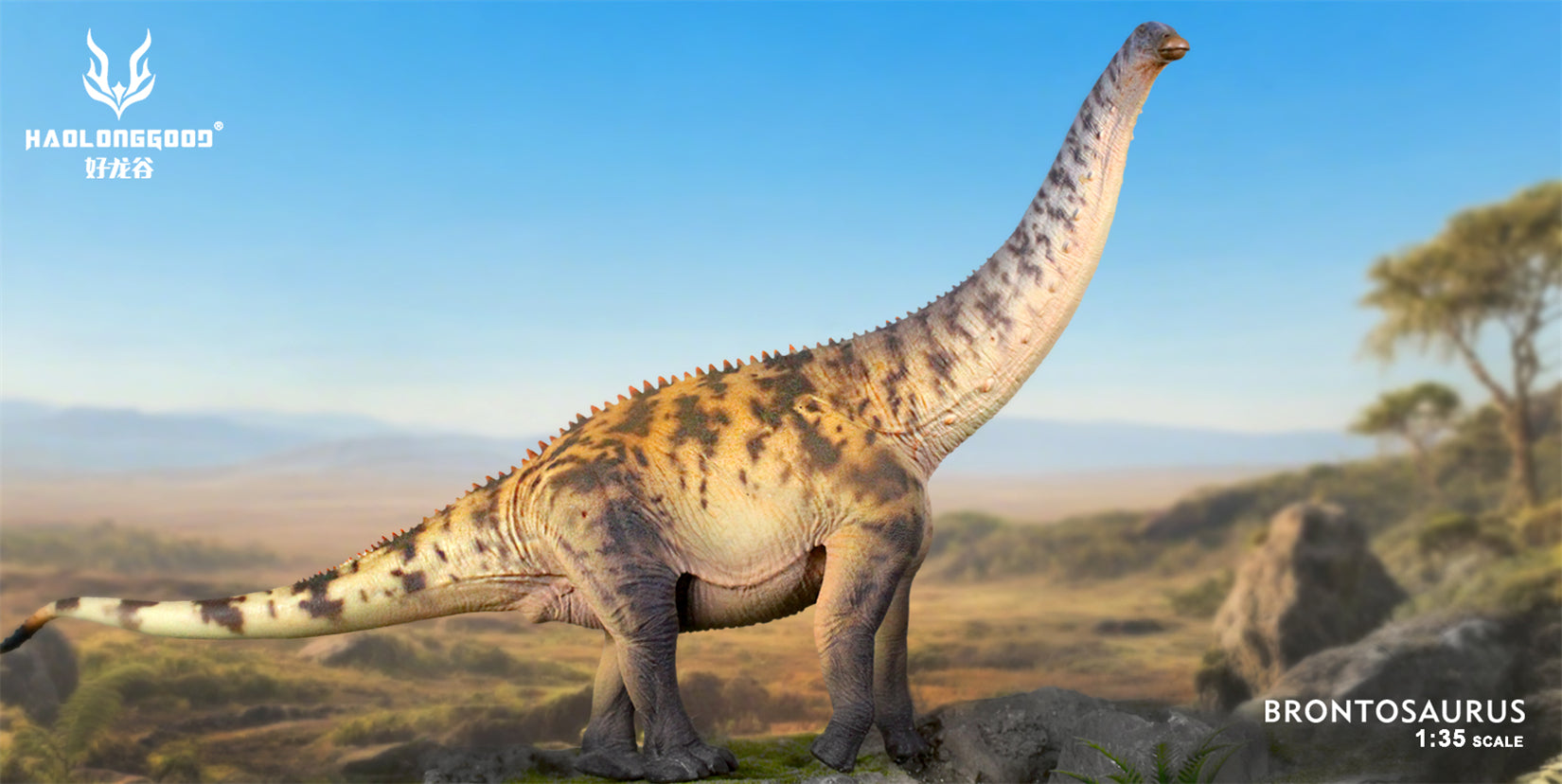 HAOLONGGOOD 1:35 Scale Brontosaurus Model