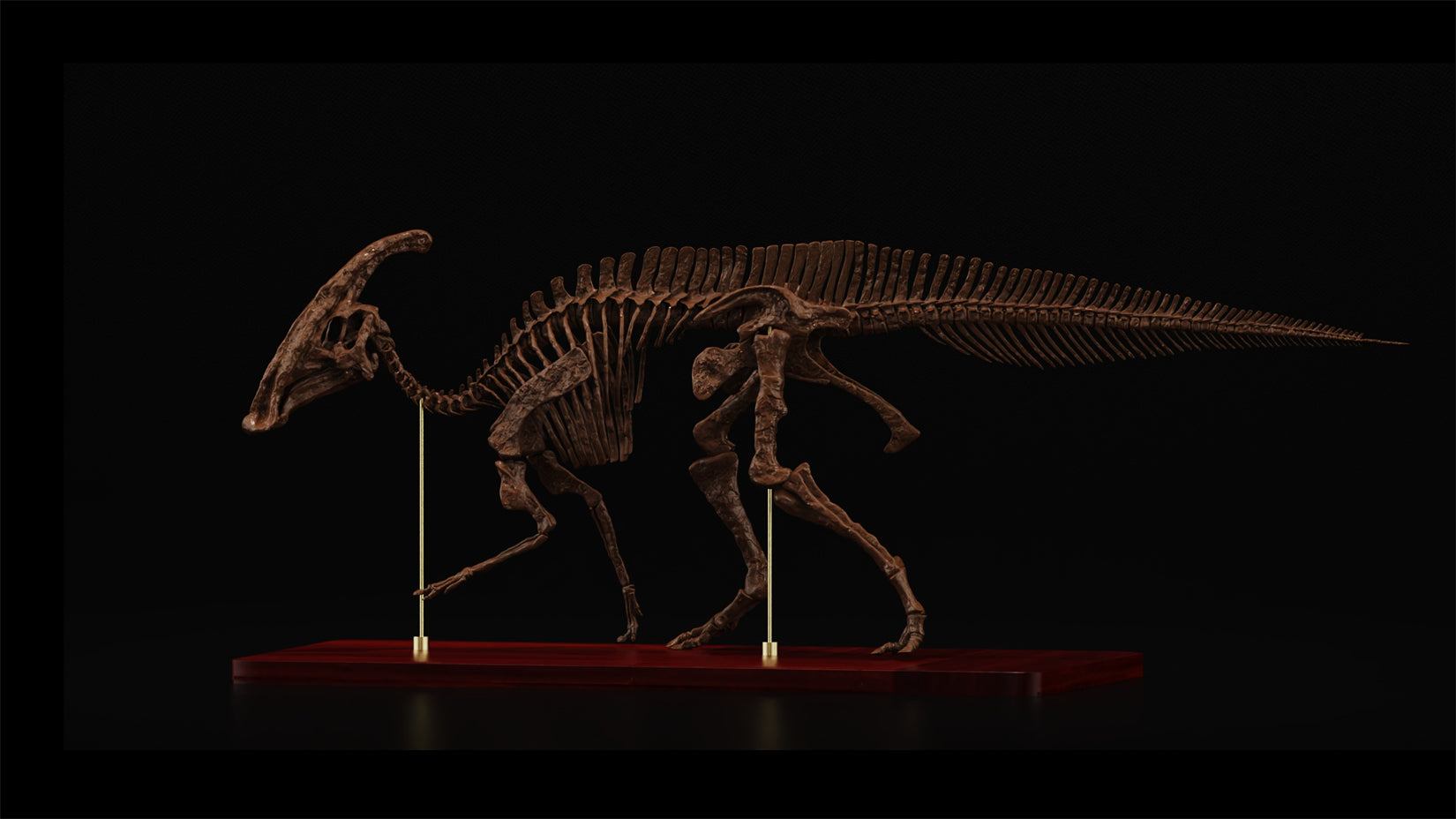 Nova Studio 1/15 Scale Parasaurolophus walkeri Skeleton Model