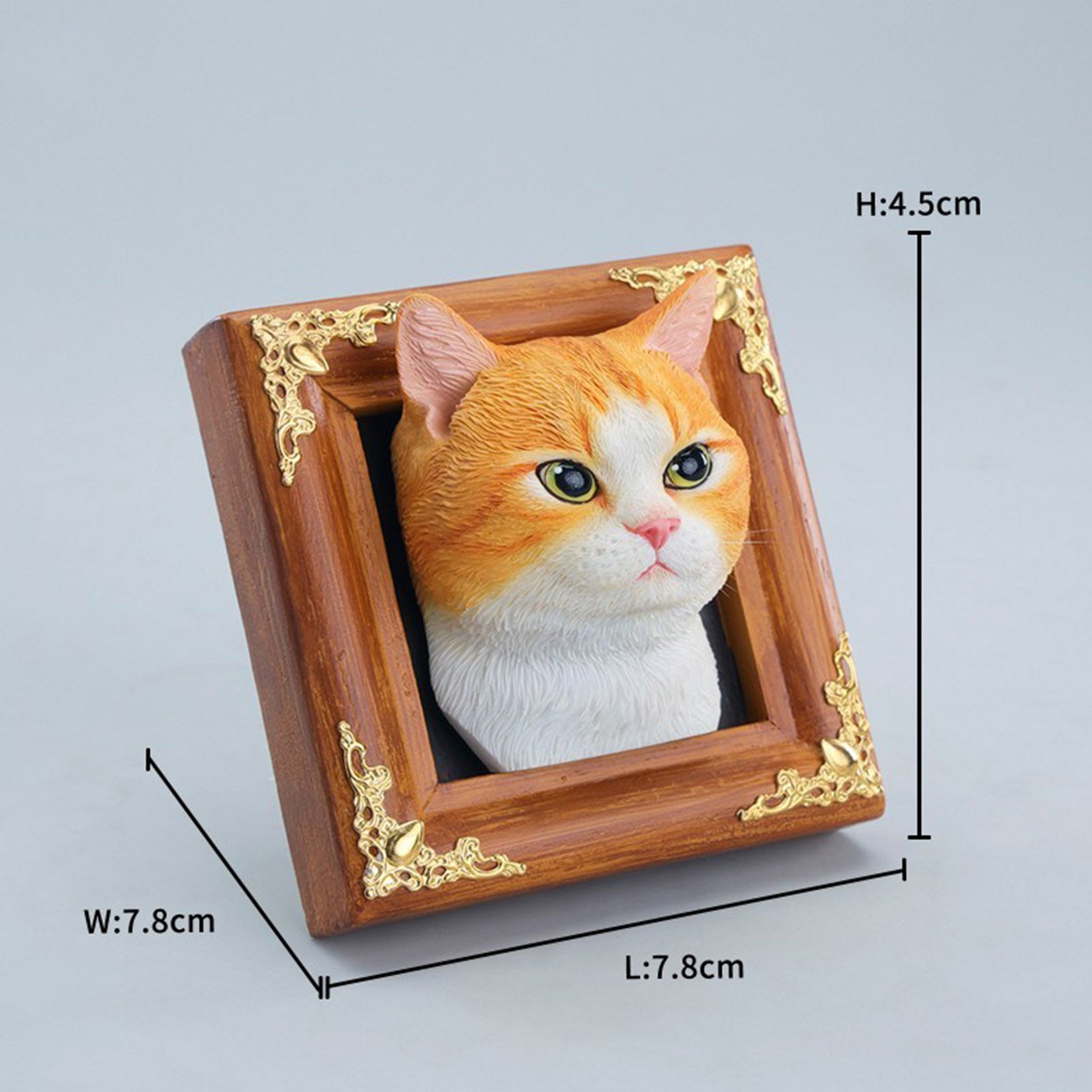 JXK Studio Gentle-eyed Country Cat Model