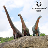 HAOLONGGOOD 1:35 Scale Camarasaurus Model