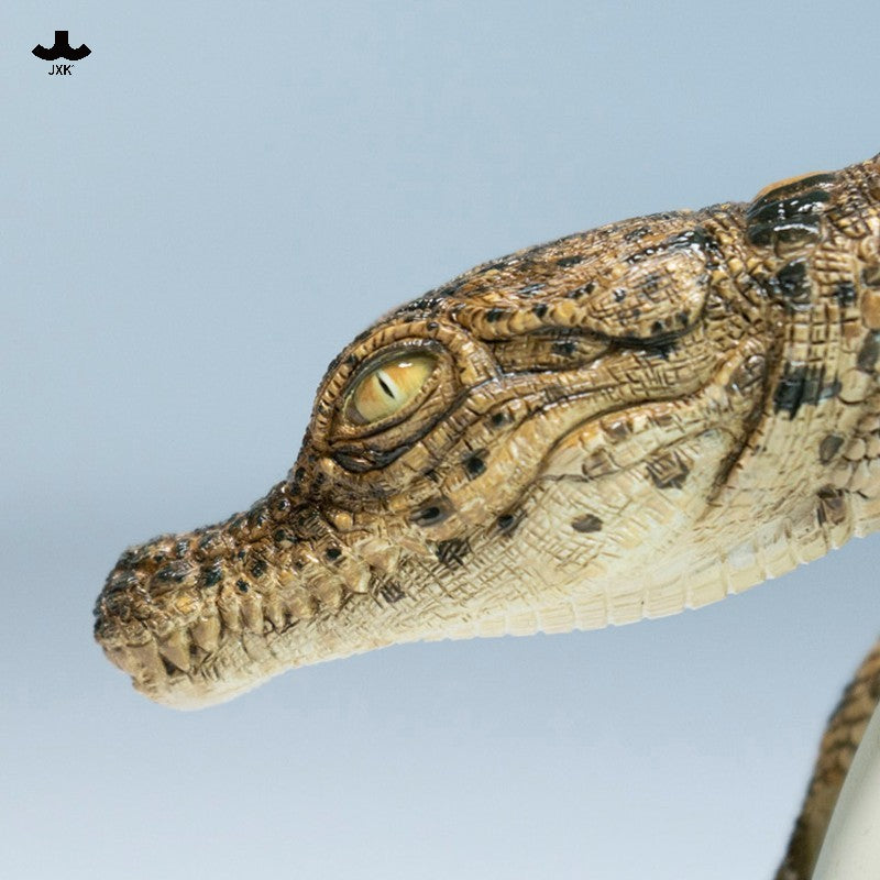 JXK Hatchling Crocodile Model