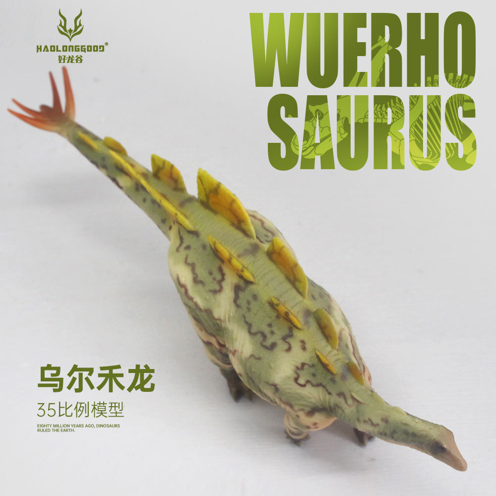 HAOLONGGOOD 1:35 Scale Wuerhosaurus Model