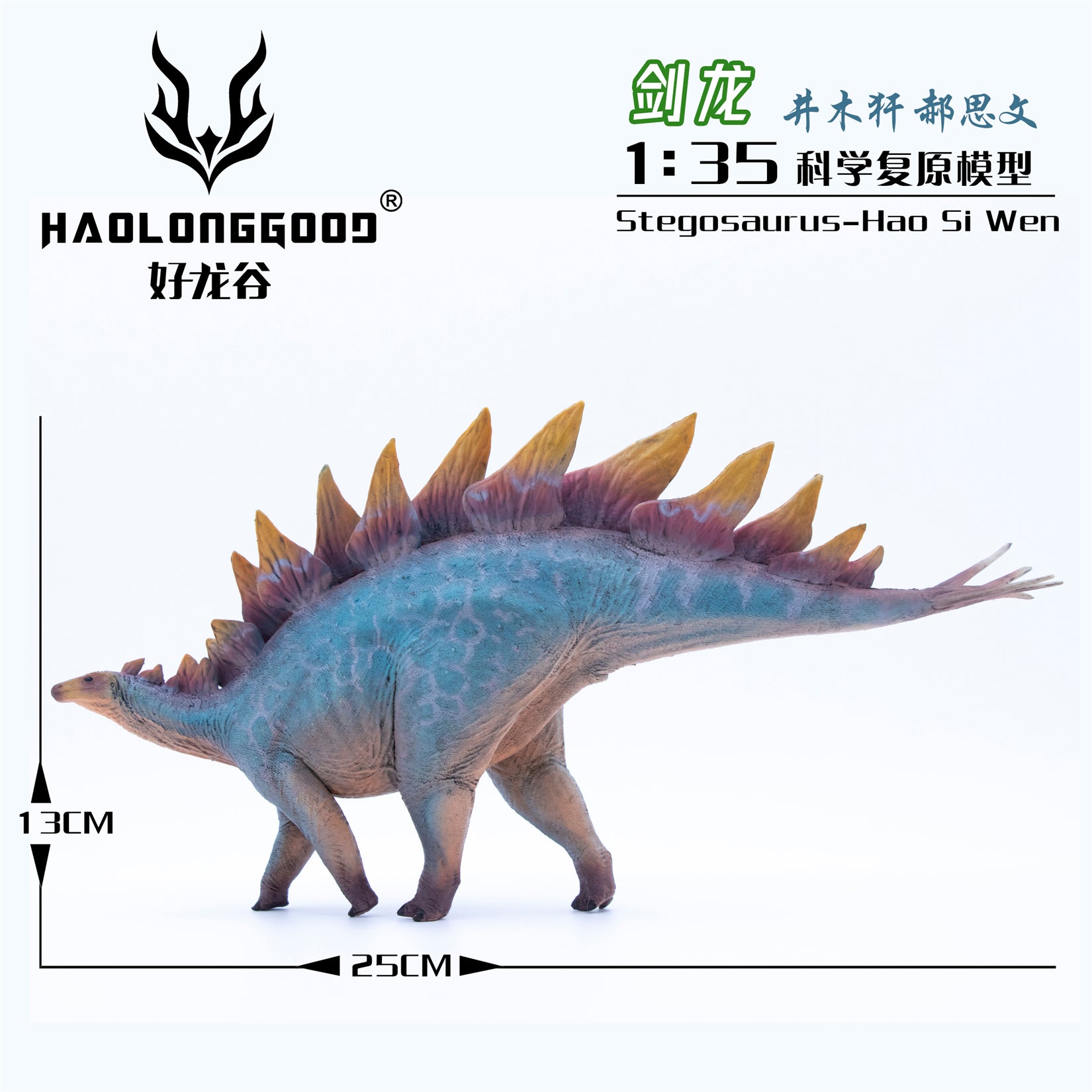 HAOLONGGOOD 1:35 Scale Stegosaurus Model