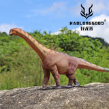 HAOLONGGOOD 1:35 Scale Camarasaurus Model