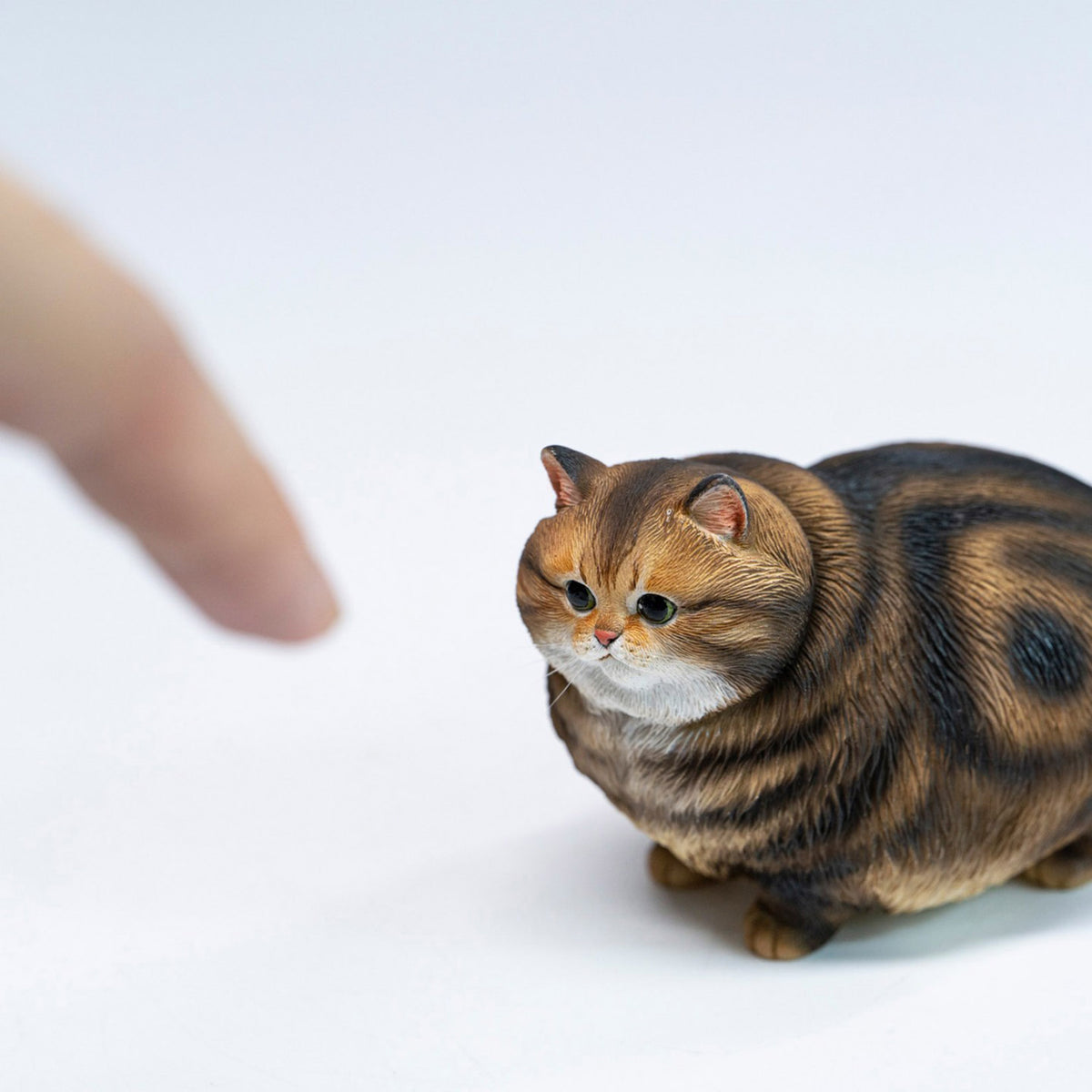 JXK Chubby Kitty Cat Model