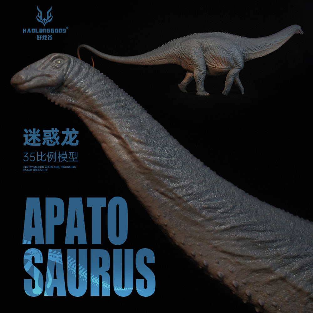 HAOLONGGOOD 1:35 Scale Apatosaurus Model