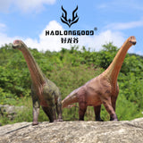 HAOLONGGOOD 1:35 Scale Camarasaurus Model