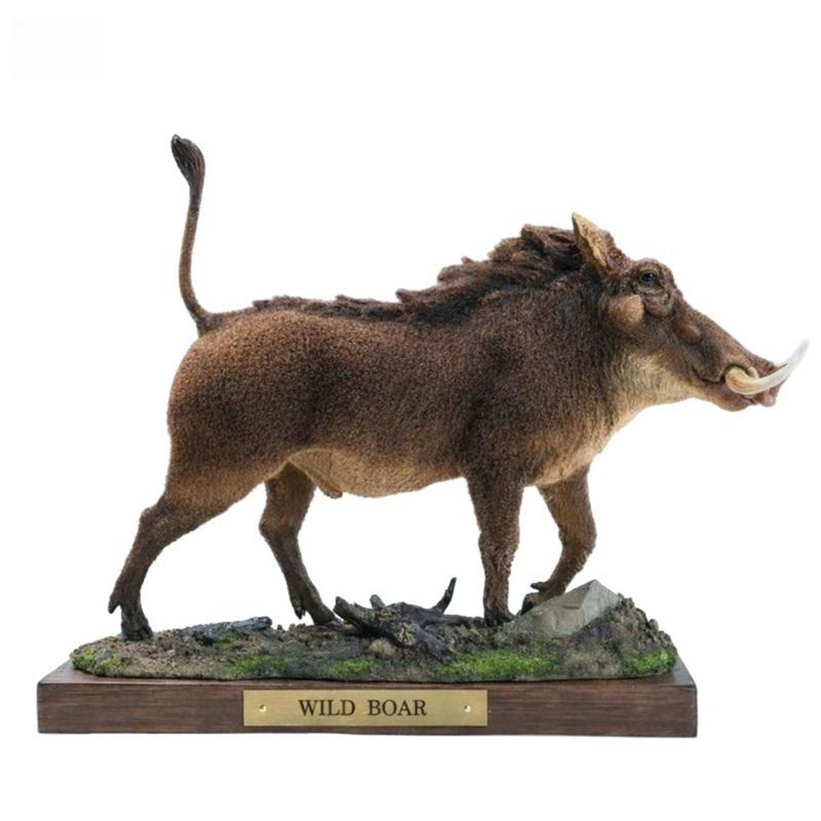 JXK Studio Warthog Animal Model