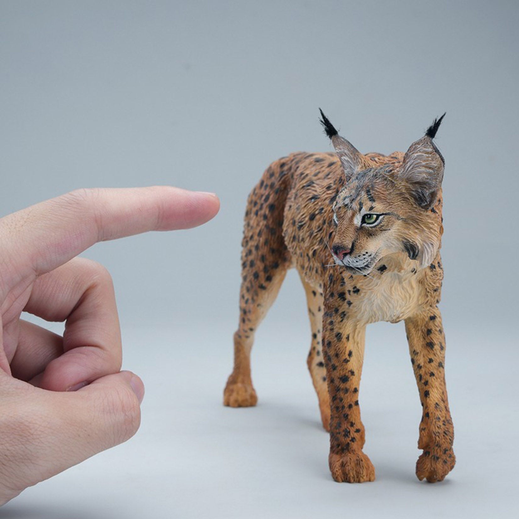JXK Studio Lynx  Model