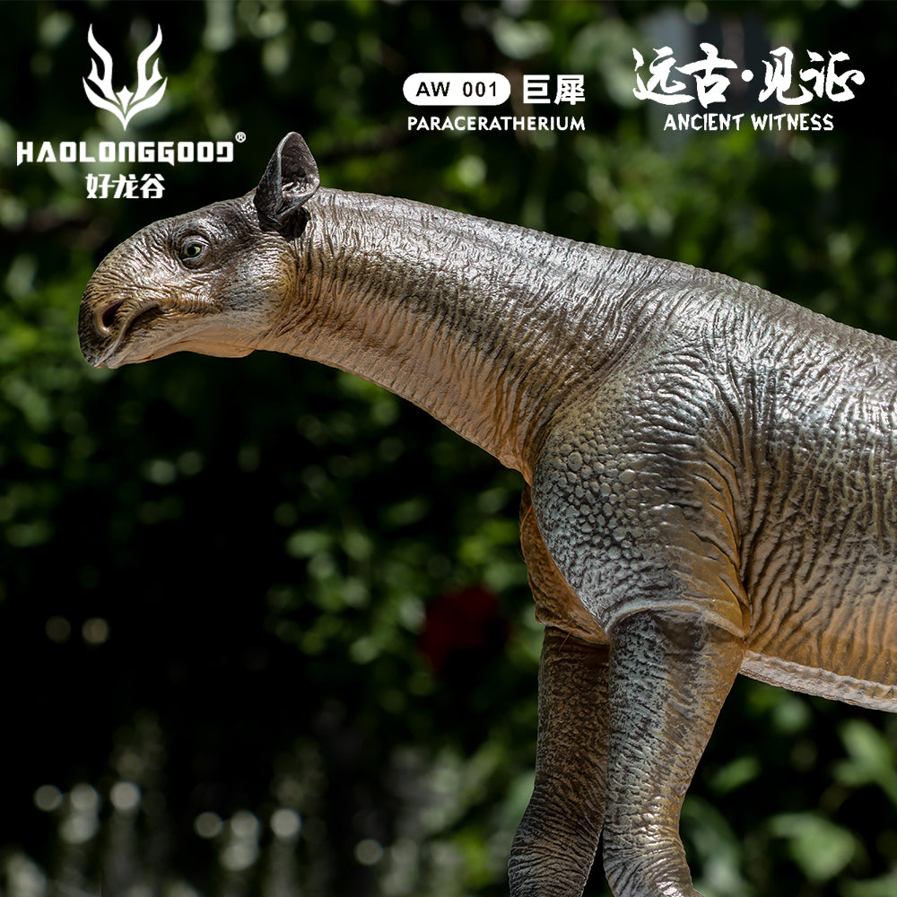 HAOLONGGOOD 1:35 Scale Paraceratherium Model