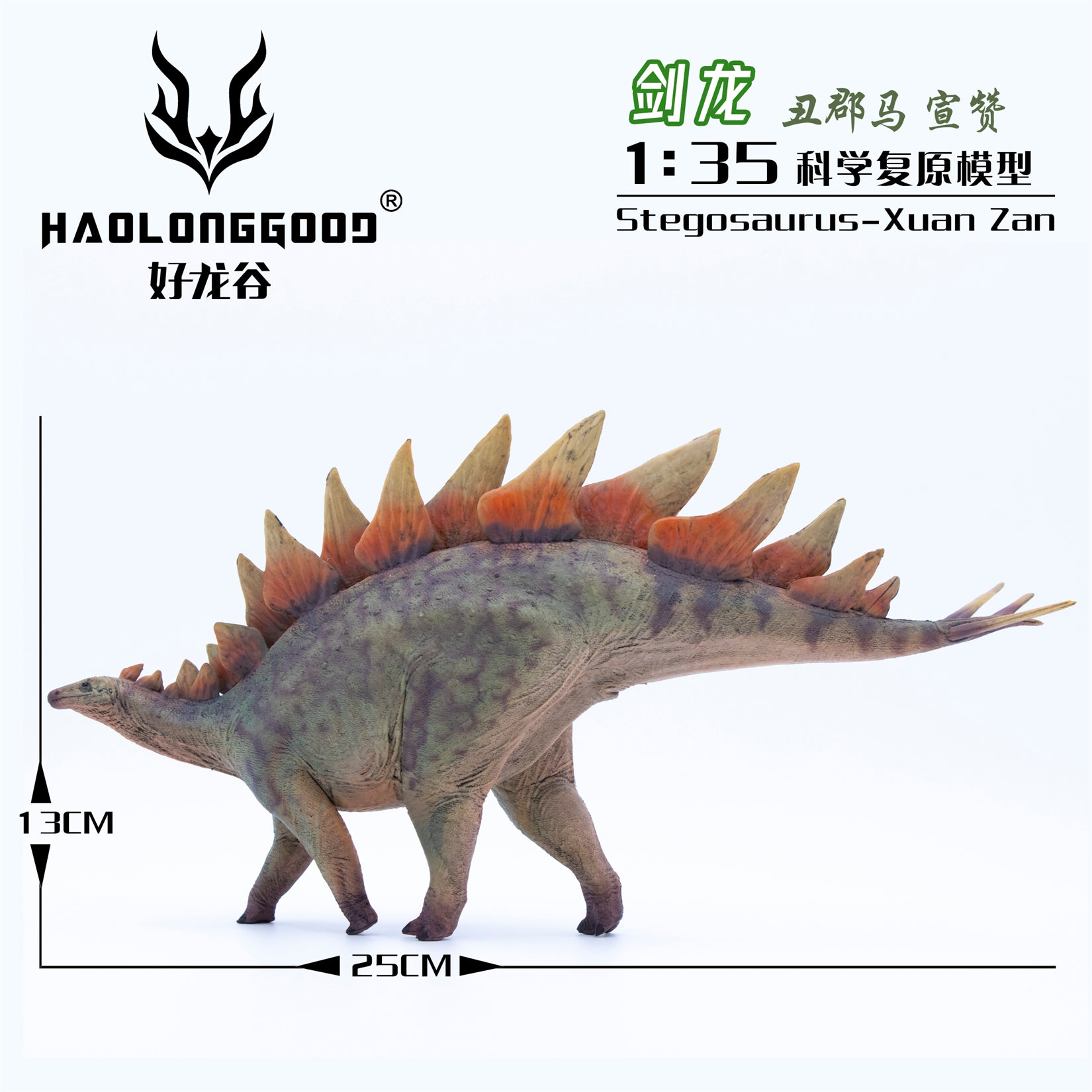 HAOLONGGOOD 1:35 Scale Stegosaurus Model