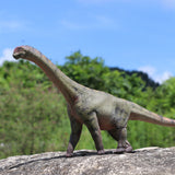 HAOLONGGOOD 1:35 Scale Camarasaurus Model