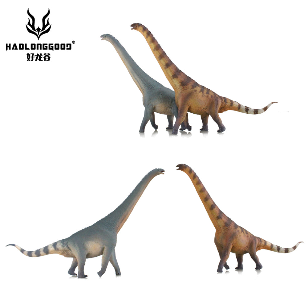 HAOLONGGOOD 1:35 Scale Euhelopus Model