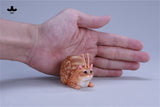 JXK Snail Cat Meow-niu Model