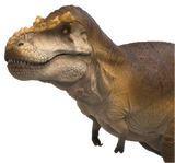 RECUR Brachiosaurus Mosasaurus Triceratops Tyrannosaurus Dimorphodon Model