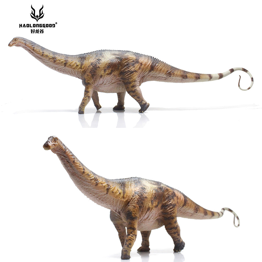 HAOLONGGOOD 1:35 Scale Apatosaurus Model