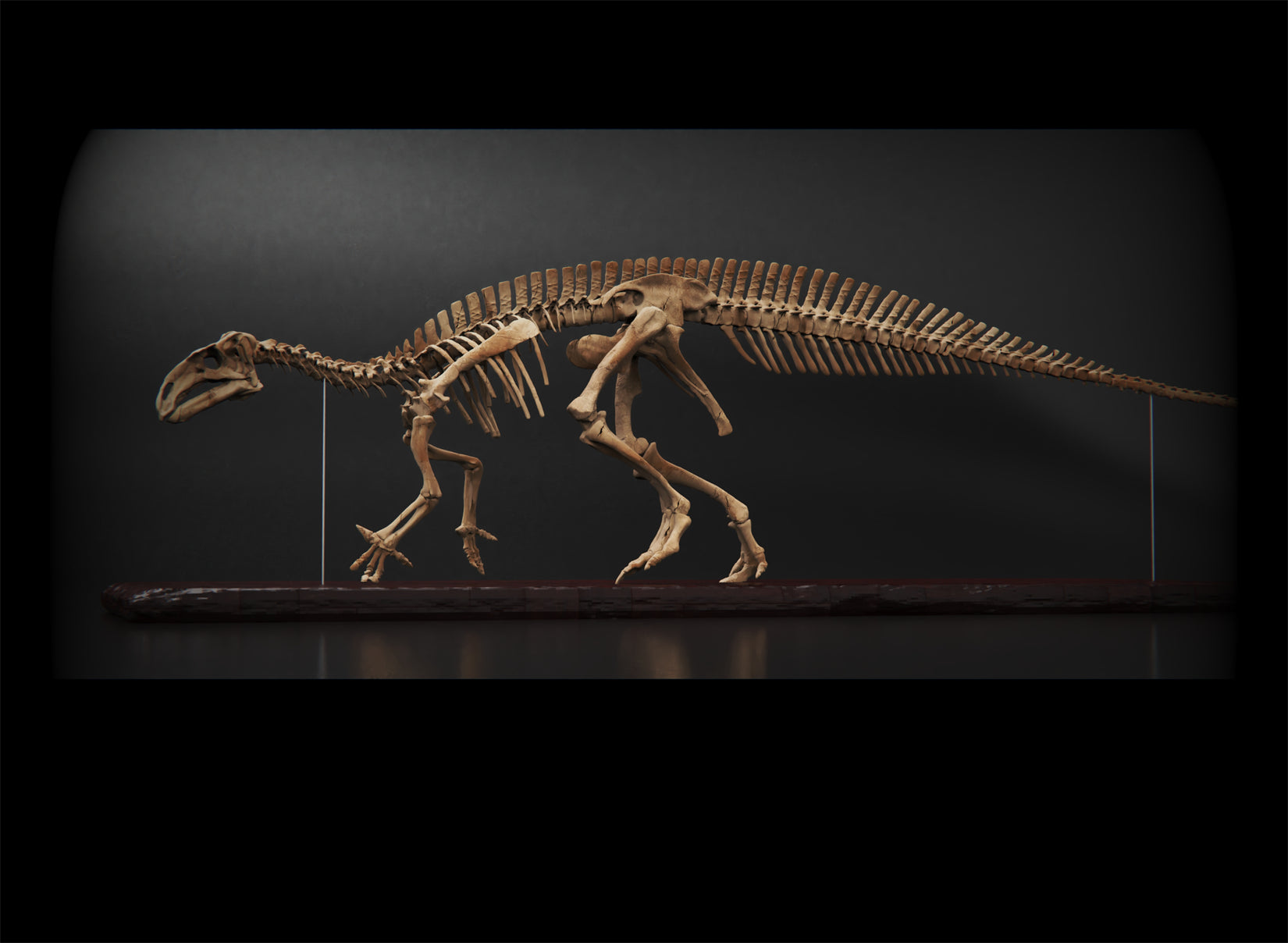 Nova Studio 1/10 Scale Iguanodon bernissartensis Keleton Model