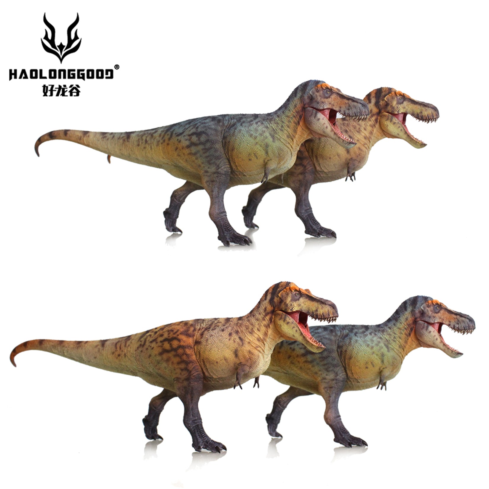 HAOLONGGOOD 1:35 Scale Tyrannosaurus Rex Model