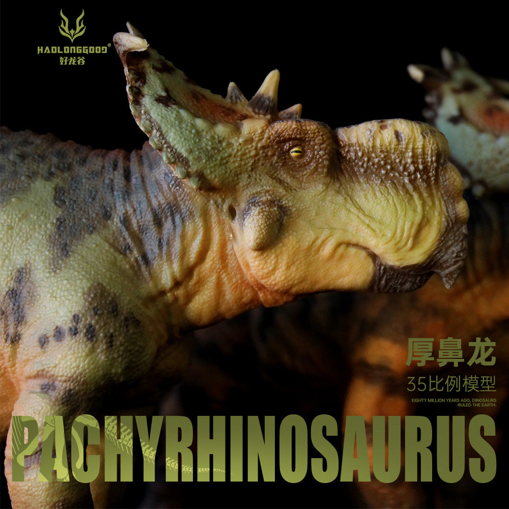 AMITD HLG Studio 1:35 Figurine Pachyrhinosaurus en PVC Modèle de dinosaure (bleu AMITD HLG Studio 1:35 Figurine Pachyrhinosaurus en PVC Modèle de dinosaure (bleu