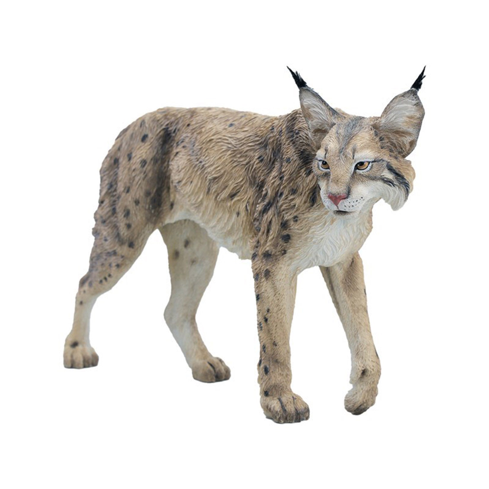 JXK Studio Lynx  Model