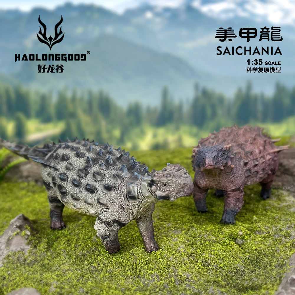 HAOLONGGOOD 1:35 Scale Saichania Model