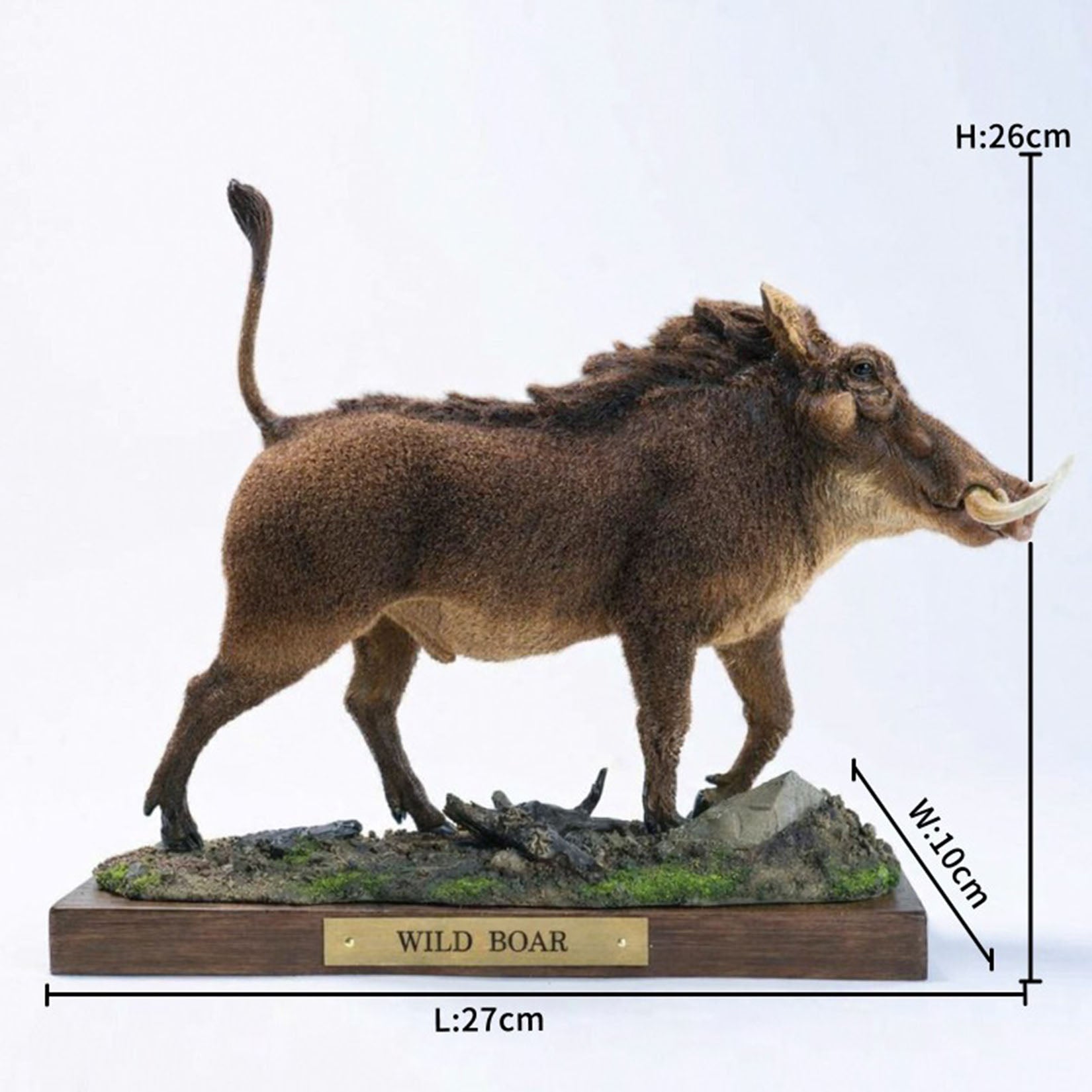 JXK Studio Warthog Animal Model