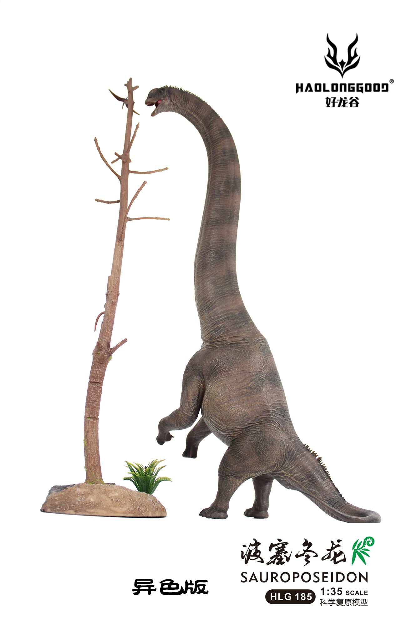 HAOLONGGOOD 1:35 Scale Sauroposeidon Model