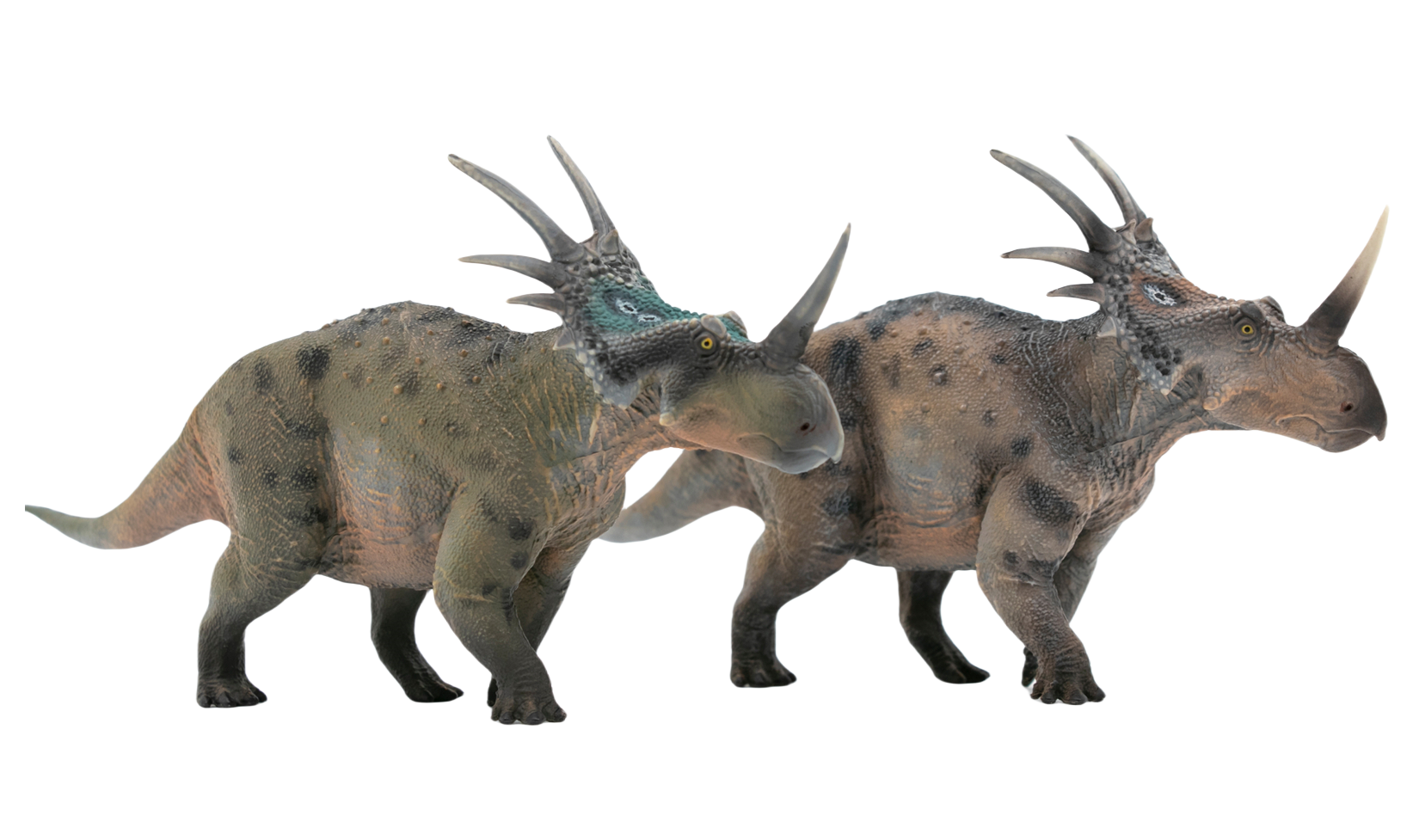 HAOLONGGOOD 1:35 Scale Styracosaurus Model