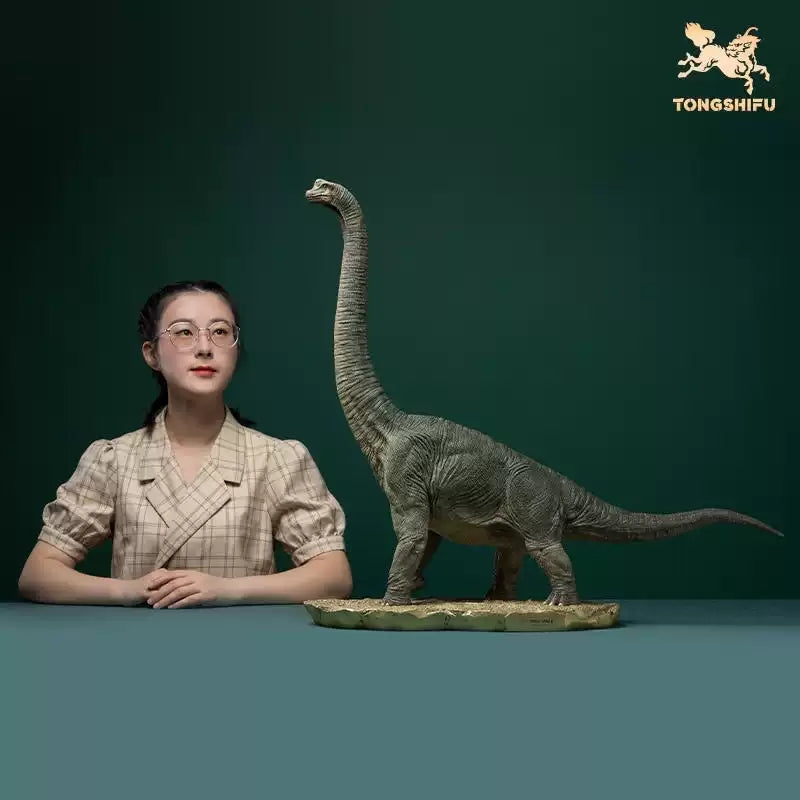 TONGSHIFU Brachiosaurus Model