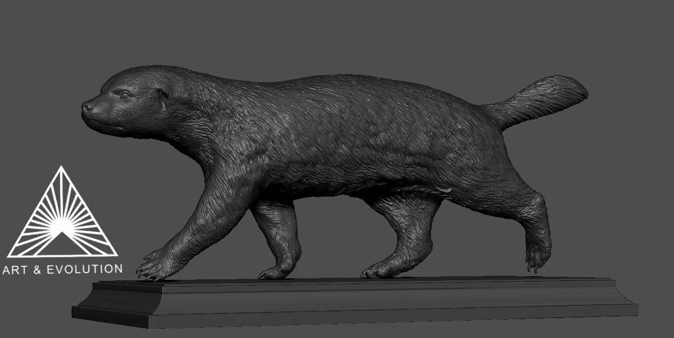Art&Evolution Studio Honey Badger Animal Model