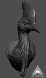 Art&Evolution Studio Southern Cassowary Animal Model