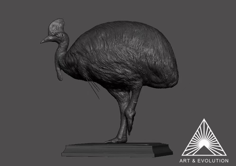 Art&Evolution Studio Southern Cassowary Animal Model