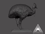 Art&Evolution Studio Southern Cassowary Animal Model