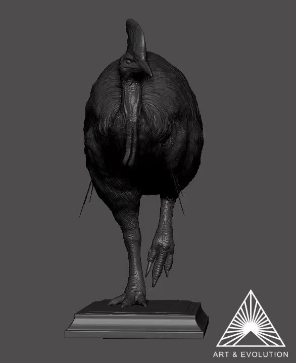 Art&Evolution Studio Southern Cassowary Animal Model