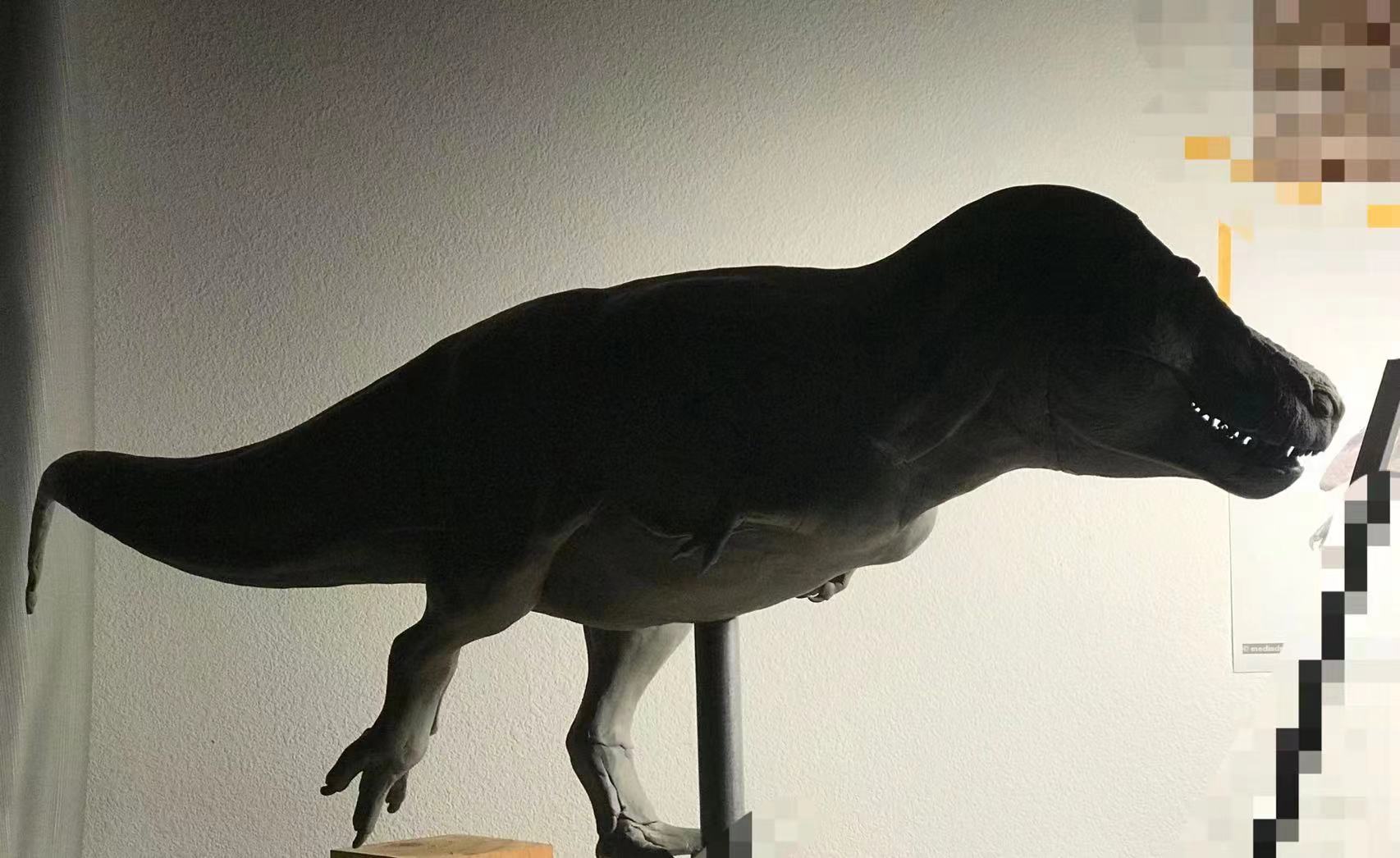 Cen DaoYi Studio  1:15 Scale Tyrannosaurus Rex Sue Statue Model Kit