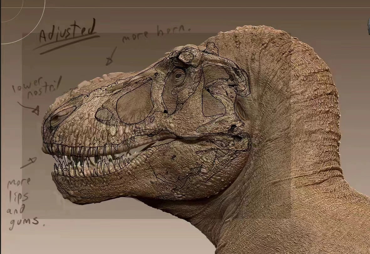 Sumeru Studio 1/18 Scale Tyrannosaurus Rex "Reg" Model