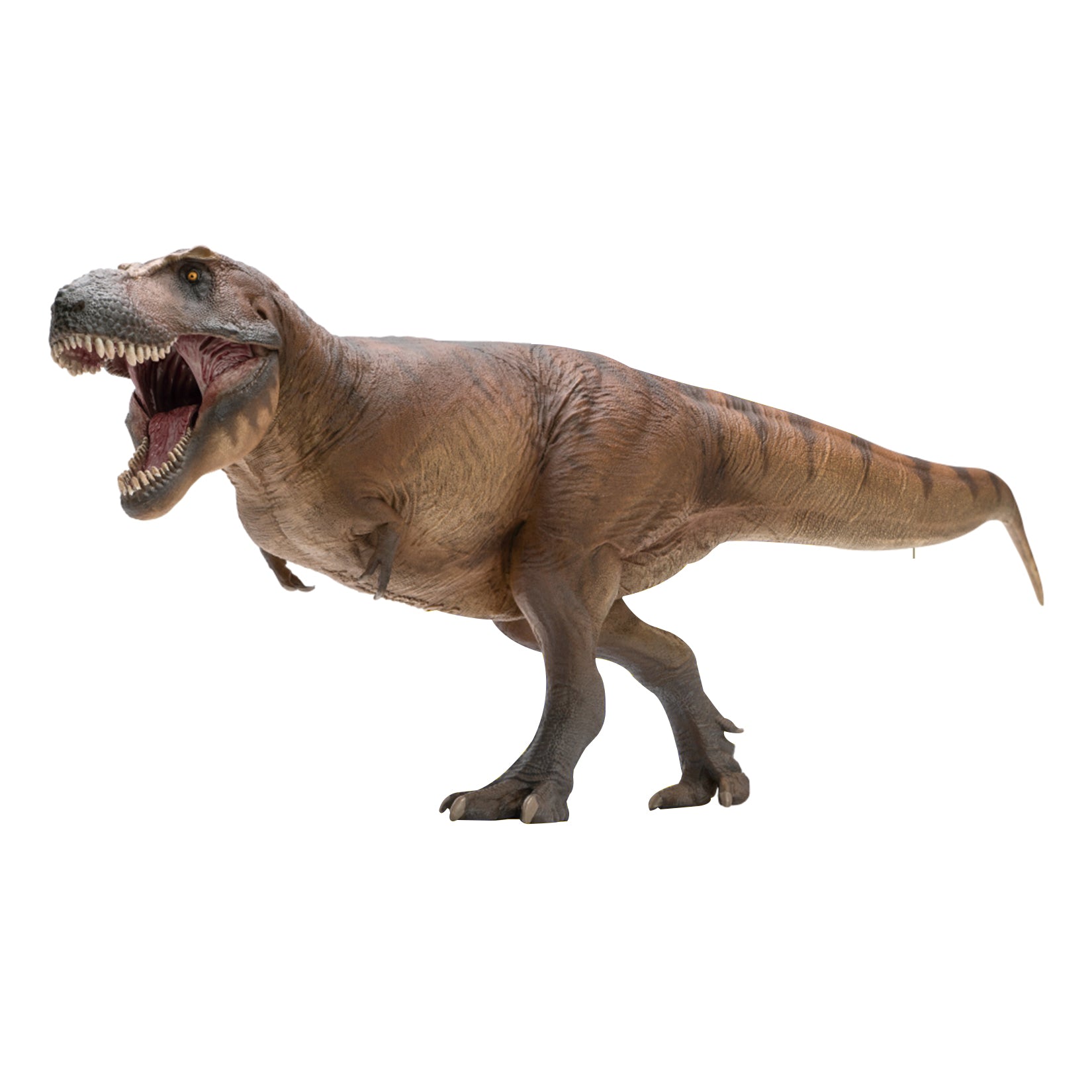 PNSO 18 Cameron The Tyrannosaurus Rex 1:35 Scale Scietific Art Model