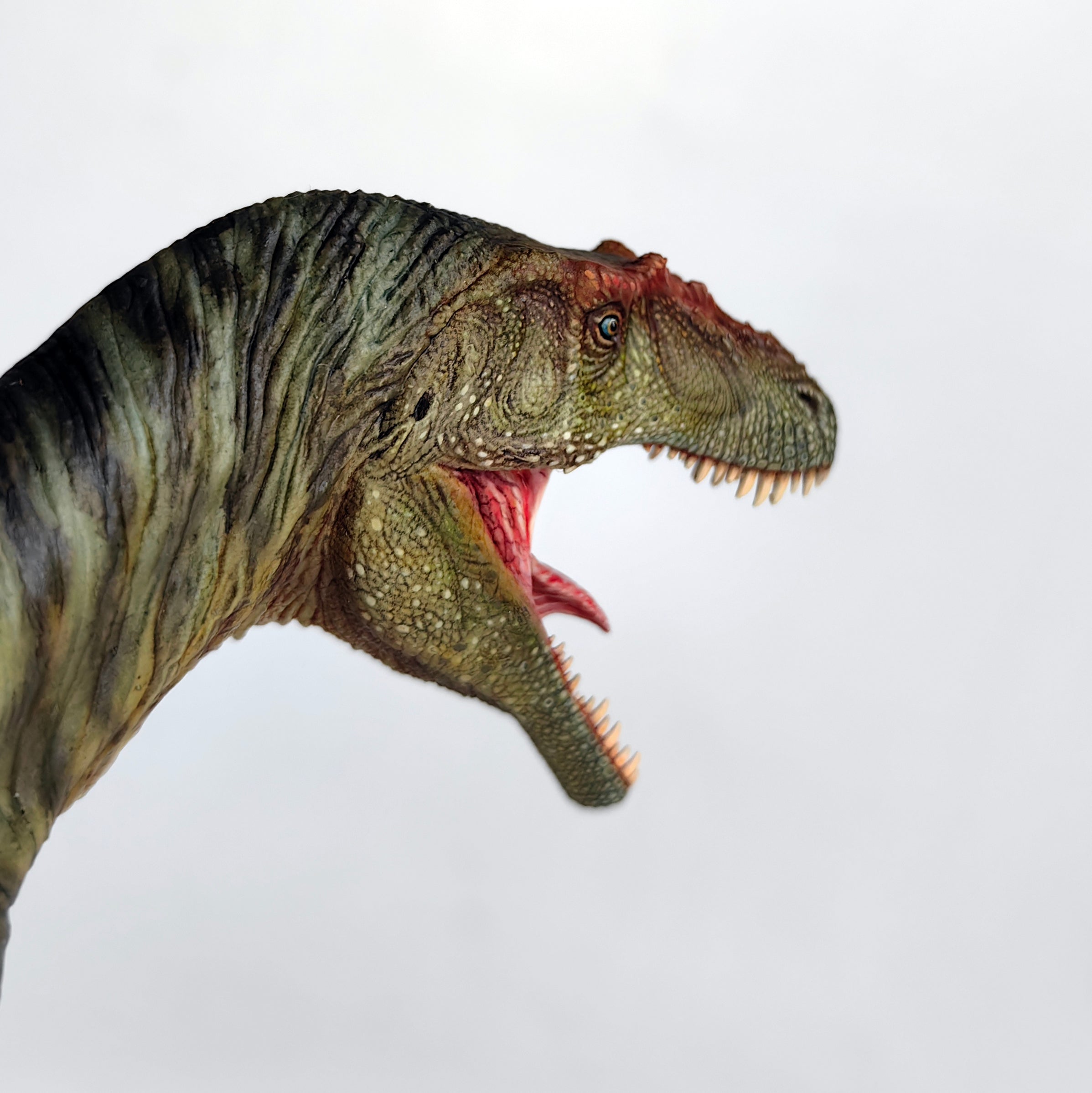 Greenhouse Revolution Studio Saurophaganax Scene Model