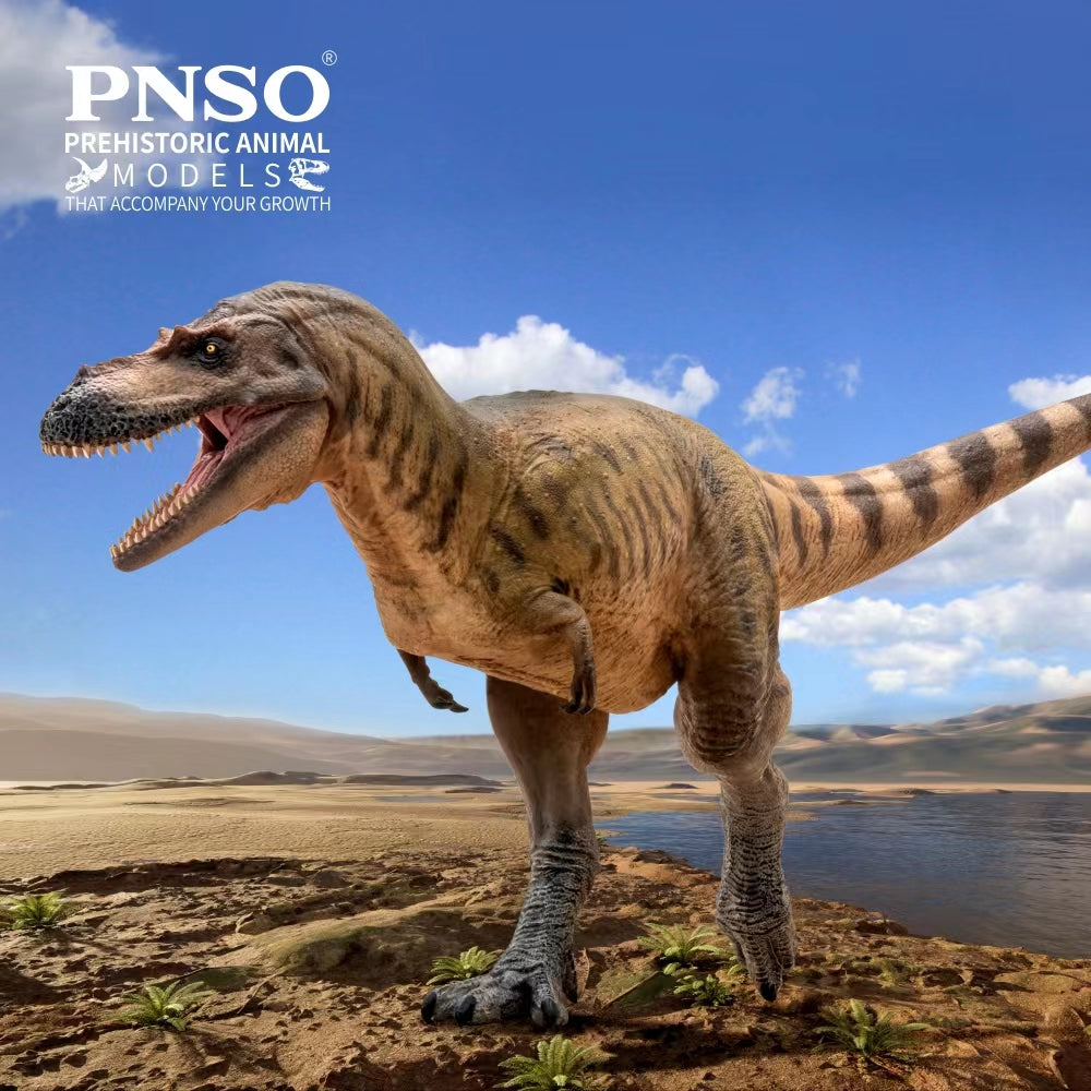 PNSO Albertosaurus Wally Model