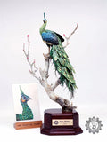 Lee 1/10 Scale Green Peafowl Scene Model