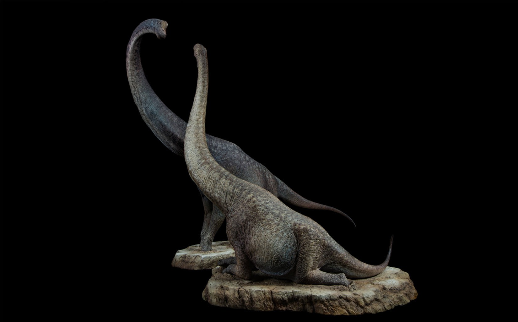 Tison Zhang 1/24 Scale Giraffatitan Scene Model