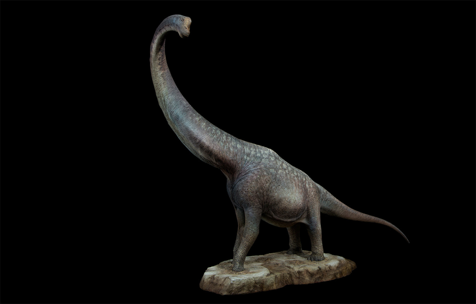 Tison Zhang 1/24 Scale Giraffatitan Scene Model