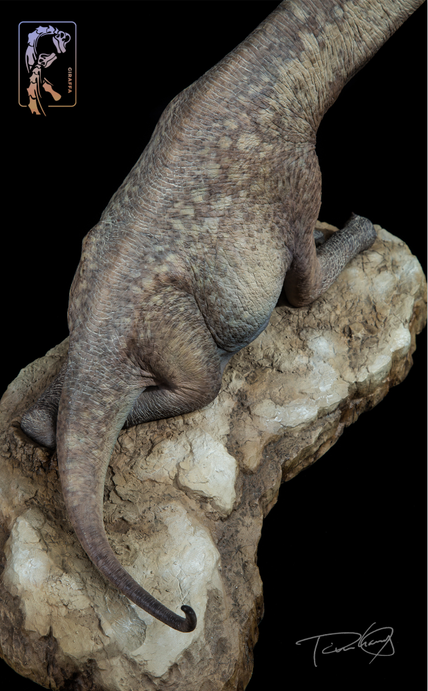 Tison Zhang 1/24 Scale Giraffatitan Scene Model