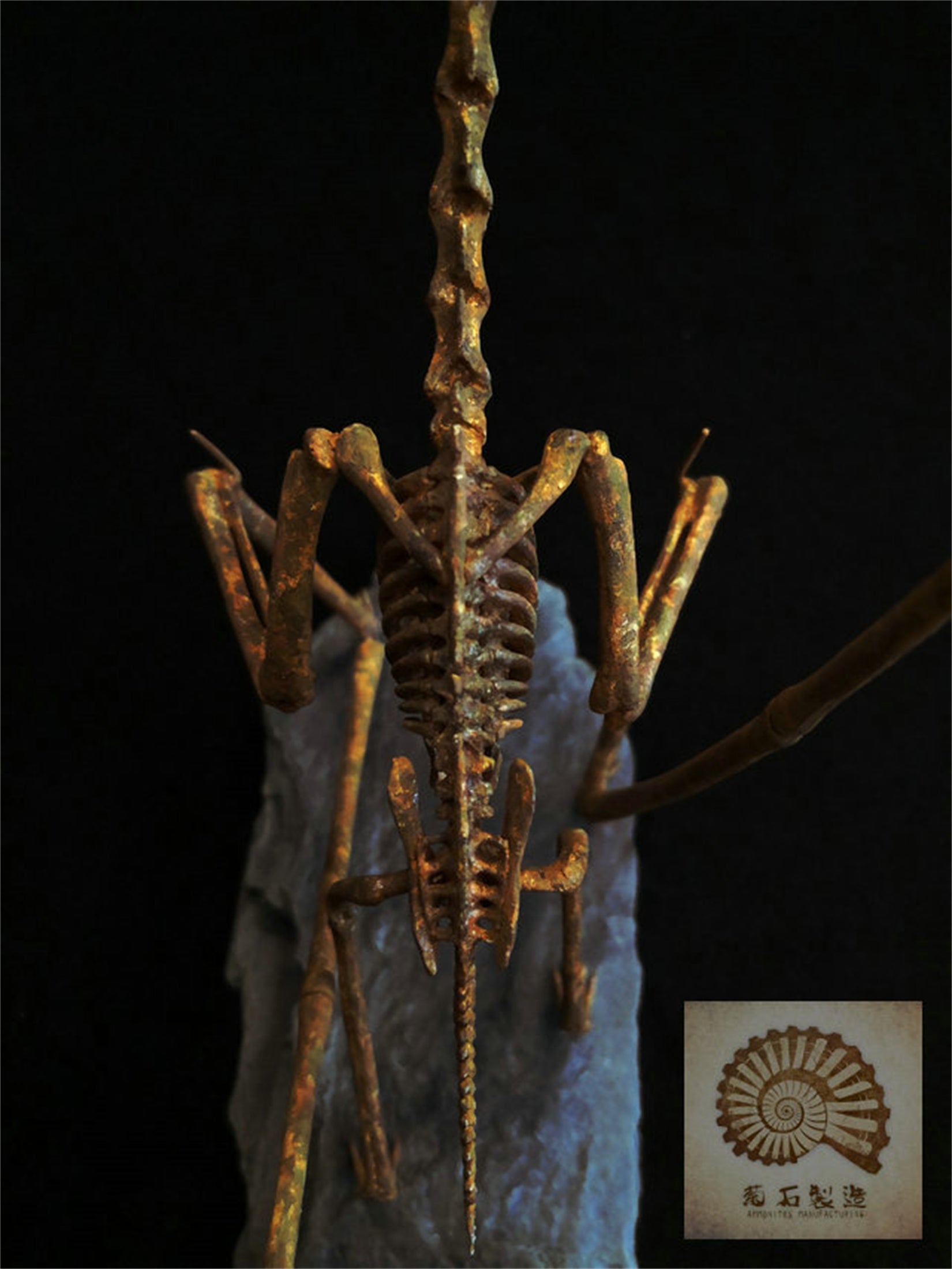 1/10 Pteranodon Skeleton Model