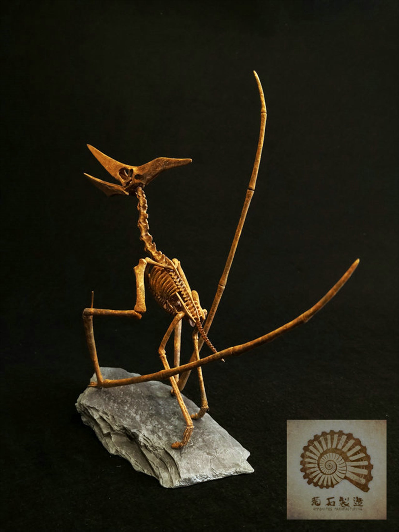 1/10 Pteranodon Skeleton Model