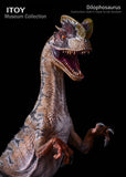 ITOY Museum Collection 1/15 Scale Dilophosaurus Fighting Model