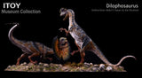 ITOY Museum Collection 1/15 Scale Dilophosaurus Fighting Model